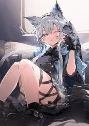 Rule 34 | 1girl, ;o, animal, animal ears, ankle boots, aqua eyes, arknights, backlighting, black footwear, black gloves, blue cape, blush, book, book stack, boots, cape, cat ears, cat girl, cat tail, dress, fingerless gloves, gloves, grey cat, grey dress, highres, holding, holding book, indoors, infection monitor (arknights), knees up, long hair, long sleeves, looking at viewer, on floor, one eye closed, parted lips, rosmontis (arknights), silver hair, sitting, solo, tail, thigh strap, very long hair, window, yatsuha (hachiyoh)