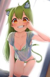 Rule 34 | 1girl, ahoge, animal ear fluff, animal ears, backlighting, blush, bra, brown eyes, cat ears, cat tail, collarbone, curtains, female focus, green bra, green hair, green panties, grin, highres, long hair, looking at viewer, motto notto, mouth pull, original, panties, shirt, smile, solo, striped bra, striped clothes, striped panties, tail, teeth, thigh gap, underwear, window