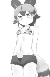 Rule 34 | 1girl, absurdres, african wild dog (kemono friends), animal ears, arms behind back, bikini, breasts, chis (js60216), commentary request, cutoffs, dog ears, dog tail, greyscale, halterneck, highres, kemono friends, looking at viewer, micro shorts, mismatched bikini, monochrome, navel, open fly, parted lips, print bikini, short hair, short shorts, shorts, small breasts, solo, standing, swimsuit, tail