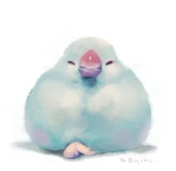 Rule 34 | &gt; &lt;, animal focus, bad id, bad pixiv id, bird, closed eyes, commentary request, creature, facing viewer, java sparrow, manino (mofuritaionaka), no humans, original, signature, simple background, white background