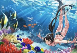 Rule 34 | 1girl, air bubble, bangle, bikini, black hair, bracelet, bubble, coral, diving, fish, flippers, freediving, hair ornament, hairpin, highres, hino0629, jewelry, light rays, long hair, multicolored eyes, seafloor, original, outstretched arms, ponytail, sunlight, swimming, swimsuit, tropical fish, underwater