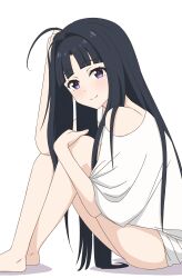 Rule 34 | 1girl, absurdres, ahoge, awa subaru, black hair, blunt bangs, blush, closed mouth, commentary, dot nose, english commentary, girls band cry, highres, knees up, long hair, looking at viewer, no pants, purple eyes, shirt, sidelocks, simple background, sitting, smile, solo, split mouth, straight hair, t-shirt, thundradrawings, very long hair, white background, white shirt