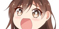 Rule 34 | + +, 10s, 1girl, brown eyes, brown hair, hair between eyes, kantai collection, long hair, looking at viewer, nahaki, no nose, ooi (kancolle), open mouth, portrait, simple background, sin-poi, solo, sparkling eyes, white background