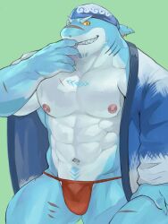 Rule 34 | 1boy, abs, bara, claws, commentary request, dorsal fin, fin piercing, fins, fish tail, fuga9, fundoshi, furry, furry male, gills, happi, isaribi (live a hero), japanese clothes, live a hero, looking at viewer, male focus, multiple scars, muscular, muscular male, nipples, open happi, pectorals, red fundoshi, scar, scar on arm, scar on chest, scar on face, scar on leg, scar on nose, scar on tail, shark boy, shark tail, sharp teeth, tail, teeth