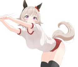 Rule 34 | 1girl, animal ears, bent over, blush, breasts, buruma, curren chan (umamusume), grey hair, gym uniform, highres, horse ears, horse girl, horse tail, large breasts, looking at viewer, shirt, short hair, simple background, sincos, smile, solo, tail, thighhighs, umamusume, white background