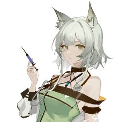 Rule 34 | 1girl, animal ears, arknights, bare shoulders, blunt bangs, cat ears, cat girl, chinese commentary, closed mouth, female focus, green eyes, halterneck, highres, kal&#039;tsit (arknights), luozhou pile, material growth, oripathy lesion (arknights), short hair, silver hair, simple background, solo, stethoscope, syringe, upper body, white background