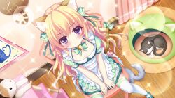 Rule 34 | &gt;:(, 1girl, analog clock, animal ears, apron, bell, blonde hair, blush, bow, bowtie, cat, cat ears, cat girl, cat tail, choker, clock, closed mouth, curled up, dot nose, dress, fake animal ears, fake tail, film grain, from above, frown, game cg, green bow, green bowtie, green choker, green dress, green footwear, grey cat, hasegawa mii, indoors, izumi tsubasu, jingle bell, lens flare, long hair, looking at viewer, looking up, neck bell, non-web source, official art, on chair, paw print, paw print pattern, picture frame, pink curtains, purple eyes, re:stage!, shoes, sitting, skirt, skirt tug, solo, sparkle, sparkling eyes, tail, thighhighs, v-shaped eyebrows, wall clock, white apron, white cat, white thighhighs, wooden floor