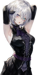 Rule 34 | 1girl, absurdres, armpits, arms behind head, arms up, au ra, belt, black dress, black gloves, black horns, blue eyes, breasts, cowboy shot, dress, elbow gloves, final fantasy, final fantasy xiv, frilled dress, frills, gloves, grey hair, hair between eyes, head tilt, heterochromia, highres, horns, long bangs, looking at viewer, maho moco, medium breasts, open mouth, purple belt, purple eyes, scales, short hair, solo, translation request, warrior of light (ff14), white background