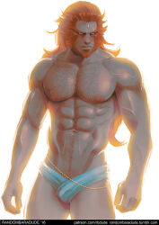 Rule 34 | 1boy, abs, backlighting, bad id, bad tumblr id, bara, beard, blush, chest hair, circlet, closed mouth, colored skin, cowboy shot, expressionless, facial hair, forehead jewel, forked eyebrows, ganondorf, green skin, hair slicked back, hyrule warriors, large pectorals, long hair, male focus, male pubic hair, male underwear, mature male, muscular, muscular male, navel, navel hair, nintendo, nipple hair, nipples, orange hair, pectorals, pubic hair, pubic hair peek, randombaradude, simple background, solo, the legend of zelda, thick beard, thick eyebrows, underwear, white male underwear, yellow eyes