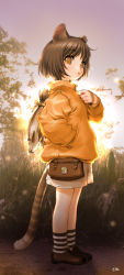 Rule 34 | 1girl, animal ears, bad id, bad pixiv id, bag, black hair, bob cut, cat ears, cat girl, cat tail, child, female focus, fish, flat chest, full body, grass, hand in pocket, jacket, loafers, looking back, nature, orange eyes, original, outdoors, patterned legwear, sano toshihide, shoes, short hair, shorts, sky, socks, solo, standing, striped clothes, striped socks, sun, sunset, tail, two-tone stripes
