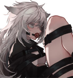 Rule 34 | 1girl, absurdres, animal ears, arknights, ball gag, bdsm, black coat, bondage, bound, coat, cookie (ppyf5328), gag, gagged, grey eyes, grey hair, highres, lappland (arknights), long hair, long sleeves, restrained, simple background, solo, white background, wiffle gag, wolf ears, wolf girl