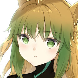 Rule 34 | 1girl, :t, animal ear fluff, animal ears, atalanta (fate), bad id, bad pixiv id, black shirt, blush, braid, brown hair, cat ears, closed mouth, fate/apocrypha, fate (series), gradient hair, green eyes, green hair, hair between eyes, high collar, looking at viewer, maya g, multicolored hair, portrait, pout, shirt, simple background, solo, white background