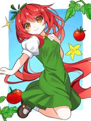 Rule 34 | 1girl, blue background, border, brown footwear, dress, flower, green dress, hand on own chest, inset border, leaf, looking at viewer, original, personification, puffy short sleeves, puffy sleeves, red hair, short sleeves, smile, socks, solo, tomato, tomatomato13136, white border, white sleeves, white socks, yellow eyes, yellow flower