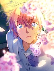 Rule 34 | 1boy, amuro tooru, blonde hair, blue eyes, blurry, blurry foreground, buttons, cherry blossoms, collared shirt, commentary request, crying, crying with eyes open, falling petals, hair between eyes, looking at viewer, looking up, male focus, maruko 11, meitantei conan, official style, outdoors, parted lips, petals, shirt, short hair, solo, tears, upper body, white shirt