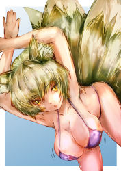 Rule 34 | 1girl, :o, animal ears, armpits, arms up, bent over, bikini, blonde hair, breasts, cleavage, female focus, fox ears, fox tail, large breasts, md5 mismatch, no headwear, no headwear, ouchu (toustar), short hair, slit pupils, solo, swimsuit, tail, touhou, yakumo ran, yellow eyes