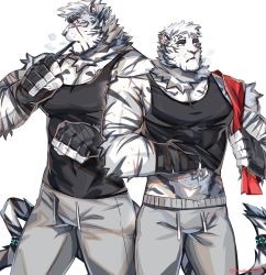 Rule 34 | 1boy, alternate costume, animal ears, arknights, bandages, bandaged hand, bandages, bara, bare shoulders, black tank top, breath, bulge, fingerless gloves, furry, furry male, gloves, graysheartart, grey pants, hand under clothes, highres, large pectorals, male focus, midriff peek, mountain (arknights), multiple views, muscular, muscular male, pants, pectoral cleavage, pectorals, scar, scar across eye, scar on arm, scar on face, short hair, sidepec, tank top, thick eyebrows, tiger boy, tiger ears, towel, track pants, white fur, white hair