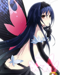 Rule 34 | 10s, 1girl, accel world, antenna hair, ass, bad id, bad pixiv id, blue hair, brown eyes, bug, butt crack, butterfly, butterfly wings, elbow gloves, gloves, hairband, insect, insect wings, keita (tundereyuina), kuroyukihime, long hair, open mouth, solo, very long hair, wings