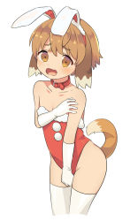 Rule 34 | 1boy, akagi kurage, animal ears, blush, brown hair, collar, covering privates, covering crotch, crossdressing, dog boy, dog ears, dog tail, embarrassed, fake animal ears, gloves, highres, leotard, male focus, male playboy bunny, open mouth, playboy bunny, pop-up story, rabbit ears, short hair, simple background, solo, tail, thighhighs, trap, wavy mouth, white background, white gloves, white thighhighs, yuuri lessen