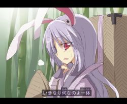 Rule 34 | 1girl, ajirogasa, alternate costume, animal ears, backpack, bag, bamboo, bamboo forest, bandages, fingerless gloves, forbidden scrollery, forest, gloves, hat, unworn hat, unworn headwear, japanese clothes, letterboxed, light purple hair, long hair, looking at viewer, nature, open mouth, profile, rabbit ears, red eyes, reisen udongein inaba, satou kibi, solo, sweatdrop, text focus, touhou, translation request