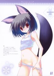 Rule 34 | 1girl, absurdres, animal ears, bare shoulders, bikini, black hair, blush, breasts, clothes lift, clothes pull, fox ears, fox tail, highres, kokonobi, looking at viewer, navel, nontraditional school swimsuit, one-piece swimsuit, one-piece swimsuit pull, open mouth, original, partially visible vulva, red eyes, scan, school swimsuit, short hair, simple background, small breasts, snowflake print, snowflakes, solo, surprised, swimsuit, swimsuit lift, tail, tankini, text focus, thighs, underwear, undressing, white bikini, white one-piece swimsuit, white school swimsuit