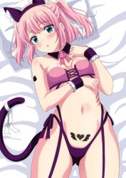Rule 34 | 1girl, animal ears, breasts, cat ears, cat tail, chiyoda momo, commentary request, dbmaster, detached collar, fake animal ears, green eyes, highres, looking at viewer, machikado mazoku, navel, pink hair, ponytail, short hair, small breasts, solo, tail