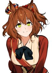 Rule 34 | 1girl, animal ears, aston machan (umamusume), bird, bow, bowtie, breasts, brown hair, closed mouth, crow, hair ornament, hair scrunchie, highres, horse ears, long sleeves, looking at viewer, medium breasts, red shirt, sash, scrunchie, shirt, short hair, short ponytail, shoulder sash, side ponytail, simple background, smile, solo, ukka (0ukka ), umamusume, upper body, v arms, vest, white background, white vest, yellow eyes
