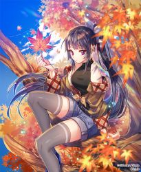 Rule 34 | 1girl, bare shoulders, black hair, blue sky, breasts, copyright name, day, hair ribbon, in tree, leaf, long hair, looking at viewer, maple leaf, medium breasts, ponytail, purple eyes, ribbon, short shorts, shorts, sid story, sila (carpen), sitting, sitting in tree, sky, solo, thighhighs, tree, very long hair
