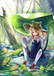 Rule 34 | 1girl, blonde hair, brown footwear, commentary request, eyeball, frog, green eyes, hair ribbon, hat, highres, leaf, lily pad, moriya suwako, nature, open mouth, outstretched arms, red ribbon, ribbon, rock, shoes, sitting, solo, touhou, tree, tress ribbon, white legwear, wide sleeves, zhu xiang