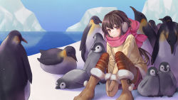 Rule 34 | 1girl, between legs, bird, blush, boots, brown eyes, brown footwear, brown hair, closed mouth, coat, day, earmuffs, enpera, fur-trimmed boots, fur trim, geroro, glacier, hair between eyes, hand between legs, highres, knees up, long hair, looking at viewer, mittens, original, outdoors, own hands together, pantyhose, penguin, pink scarf, scarf, shorts, sitting, smile, snow, snow boots, solo