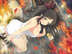 Rule 34 | 1girl, ass, bare arms, bare legs, bare shoulders, bath, bird, breasts, cleavage, duck, happy, highres, hot, legs, long hair, looking at viewer, looking to the side, mask, murakumo (senran kagura), onsen, senran kagura, side-tail, sitting, solo, tall female, towel, towel around waist, towel over breasts, water, wet