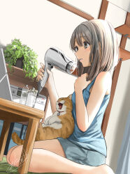 Rule 34 | 1girl, animal, animal on lap, bare arms, bare shoulders, barefoot, bell, blue shirt, blush, bottle, brown eyes, cat, cat on lap, drying, drying hair, grey hair, grey shorts, hair dryer, highres, holding, indoors, jingle bell, long hair, looking at mirror, loungewear, mirror, on lap, original, parted lips, photocopier, plant, potted plant, shirt, shorts, signature, sitting, sleeveless, sleeveless shirt, smile, solo, soragane (banisinngurei)