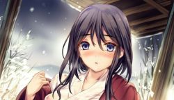 Rule 34 | 1girl, black hair, blue eyes, blush, commentary request, hair between eyes, hand up, haori, japanese clothes, kimono, long hair, looking at viewer, melonbooks, monety, nose blush, parted lips, portrait, snowing, solo, white kimono