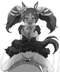 Rule 34 | 1boy, 1girl, animal ears, blush, breasts, breath, cow girl, dress, echi no tami, highres, horse ears, horse girl, marvelous sunday (umamusume), medium breasts, monochrome, non-web source, sex, simple background, sketch, sweat, tail, twintails, umamusume