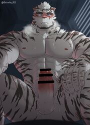 Rule 34 | 1boy, abs, animal ears, arknights, bar censor, bara, blush, breath, bulge, censored, completely nude, erection, facial hair, feet out of frame, from below, furry, furry male, girthy penis, goatee, highres, large pectorals, looking at penis, looking at viewer, male focus, manspreading, mountain (arknights), muscular, muscular male, nipples, nude, orea-doi, pectorals, penis, precum, scar, scar across eye, short hair, solo, stomach, thick eyebrows, thick thighs, thighs, tiger boy, tiger ears, v-taper, veins, veiny penis, white fur, white hair