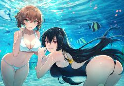 Rule 34 | 2girls, air bubble, animal, ass, bare arms, bare legs, bare shoulders, bikini, black hair, black one-piece swimsuit, breasts, brown eyes, brown hair, bubble, cleavage, collarbone, competition swimsuit, fish, freediving, green eyes, hair between eyes, highres, kantai collection, kasumi (skchkko), large breasts, long hair, multiple girls, mutsu (kancolle), nagato (kancolle), navel, one-piece swimsuit, open mouth, short hair, smile, swimming, swimsuit, underwater, white bikini