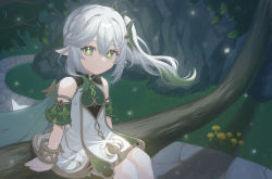 Rule 34 | 1girl, arm support, asymmetrical hair, awarechan, bare shoulders, bracelet, braid, branch, cape, cliff, closed mouth, commentary request, cross-shaped pupils, detached sleeves, dress, eyelashes, floating hair, genshin impact, gold trim, gradient hair, grass, green cape, green eyes, green hair, green sleeves, hair between eyes, hair ornament, highres, in tree, jewelry, leaf, long hair, looking at viewer, multicolored hair, mushroom, nahida (genshin impact), outdoors, path, pointy ears, ponytail, road, rock, short sleeves, side ponytail, sidelocks, single braid, sitting, sitting in tree, sleeveless, sleeveless dress, smile, solo, stone walkway, symbol-shaped pupils, tree, white dress, white hair