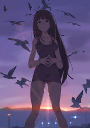 Rule 34 | 1girl, ahoge, bare arms, bare legs, bare shoulders, bird, blue eyes, breasts, brown hair, furuyama itaru, gluteal fold, legs, long hair, looking up, ocean, one-piece swimsuit, open mouth, original, own hands together, seagull, seaside, small breasts, standing, sunset, swimsuit, thighs, very long hair