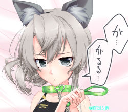 Rule 34 | 1girl, animal collar, animal ear fluff, animal ears, asymmetrical hair, black one-piece swimsuit, collar, competition swimsuit, dog ears, flat chest, flipped hair, grey eyes, inaba shiki, kantai collection, kemonomimi mode, leash, logo, looking at viewer, nowaki (kancolle), one-piece swimsuit, silver hair, solo, swept bangs, swimsuit, twitter username, upper body
