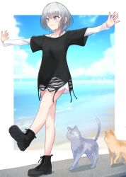 Rule 34 | 1girl, :3, balancing, bang dream!, bang dream! it&#039;s mygo!!!!!, black footwear, blue eyes, blue sky, blush, closed mouth, cloud, commentary request, day, fukumaru1021, grey cat, heterochromia, highres, kaname raana, layered sleeves, long sleeves, medium hair, ocean, orange cat, outdoors, outstretched arms, short over long sleeves, short sleeves, shorts, sky, smile, solo, standing, standing on one leg, white hair, white shorts, yellow eyes