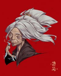 Rule 34 | 1girl, absurdres, asian, avatar: the last airbender, avatar legends, cropped shoulders, cryokinesis, evil smile, fighting stance, grey hair, half-closed eyes, hama (avatar), hand up, highres, long hair, looking at viewer, old, old woman, open hand, patrick ganas, red background, smile, smug, solo, wrinkled skin