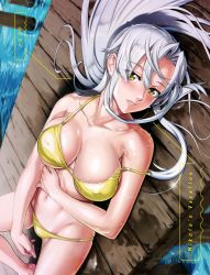 Rule 34 | 1girl, areola slip, bikini, blush, breasts, cleavage, collarbone, dutch angle, facing viewer, highres, kiba mikoto, large breasts, lips, long hair, looking at viewer, lying, medium breasts, midriff, navel, on back, on floor, outdoors, pier, poster, satou shouji, silver hair, strap slip, swimsuit, thighs, triage x, water, yellow eyes