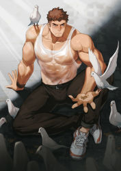 Rule 34 | 1boy, absurdres, bara, belt, bird, black belt, black pants, brown hair, closed mouth, covered abs, covered erect nipples, covered navel, dove, food, highres, holding, holding food, large pectorals, male focus, muscular, muscular male, original, pants, pectorals, see-through, short hair, sitting, tank top, white bird, dove, white tank top, zhuganchangjiadan