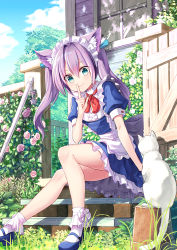 Rule 34 | 1girl, animal ears, apron, blue dress, blue eyes, blue footwear, bobby socks, bow, bowtie, cat, cat ears, center frills, coconat summer, commentary request, day, dress, finger to mouth, flower, flower pot, frills, highres, long hair, looking at animal, maid, maid headdress, mary janes, original, outdoors, pink flower, pink rose, porch, purple hair, red bow, red bowtie, rose, shoes, short sleeves, shushing, sitting, socks, solo, stairs, twintails, waist apron, white cat, white socks, window