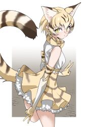 Rule 34 | 1girl, absurdres, animal ears, bare shoulders, belt, blonde hair, bow, bowtie, brown hair, cat ears, cat girl, cat tail, cowboy shot, elbow gloves, extra ears, frilled skirt, frills, gloves, high-waist skirt, highres, kemono friends, looking at viewer, multicolored hair, print bow, print bowtie, print gloves, print skirt, sand cat (kemono friends), sand cat print, shirt, short hair, skirt, sleeveless, solo, tail, tanabe (fueisei), v, white belt, white shirt, yellow eyes