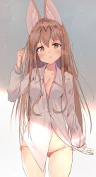 Rule 34 | 10s, 1girl, :3, absurdres, aged up, alternate costume, alternate hair length, alternate hairstyle, animal ears, bad id, bad pixiv id, blush, bow, breasts, brown eyes, brown hair, cleavage, cowboy shot, dress shirt, gluteal fold, gradient background, grey background, hair bow, highres, kemono friends, long hair, medium breasts, orange panties, panties, ris (pixiv 12266637), serval (kemono friends), shirt, side-tie panties, simple background, sketch, smile, solo, thighs, underwear