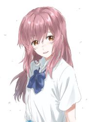 Rule 34 | 1girl, blue bow, blush, bow, bowtie, brown eyes, collared shirt, highres, koe no katachi, looking at viewer, mitsugu, nose blush, pink hair, shirt, short sleeves, simple background, solo, upper body, white background, white shirt, wing collar