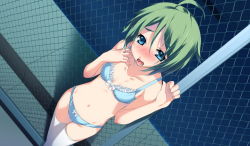 Rule 34 | 1girl, ahoge, blue bra, blue eyes, blue panties, blush, bow, bow bra, bow panties, bra, from above, g yuusuke, green hair, jpeg artifacts, lingerie, open mouth, outdoors, panties, public indecency, sakurai saki, short hair, solo, tapestry -you will meet yourself-, thighhighs, underwear, underwear only, white thighhighs