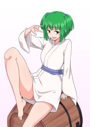 Rule 34 | 1girl, barefoot, bucket, full body, gradient bag, green eyes, green hair, hair bobbles, hair ornament, japanese clothes, kakone, kimono, kisume, looking at viewer, open mouth, short hair, sitting, solo, touhou, two side up, white background, white kimono