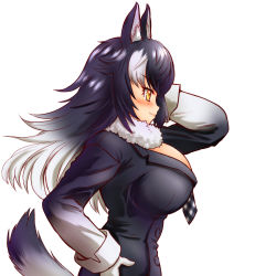 Rule 34 | 1girl, absurdres, animal ear fluff, animal ears, black hair, breasts, fur collar, gloves, grey wolf (kemono friends), hakumaiya, hand in own hair, hand on own hip, highres, kemono friends, large breasts, long hair, looking away, multicolored hair, necktie, simple background, solo, tail, two-tone hair, white background, white gloves, white hair, wolf ears, wolf girl, wolf tail, yellow eyes