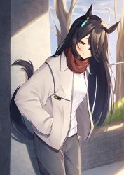 Rule 34 | absurdres, animal ears, black hair, blush, day, hands in pockets, highres, horse ears, horse girl, horse tail, isana615, jacket, long hair, looking at viewer, manhattan cafe (umamusume), pants, sky, smile, solo, standing, sweatpants, tail, tree, umamusume, yellow eyes